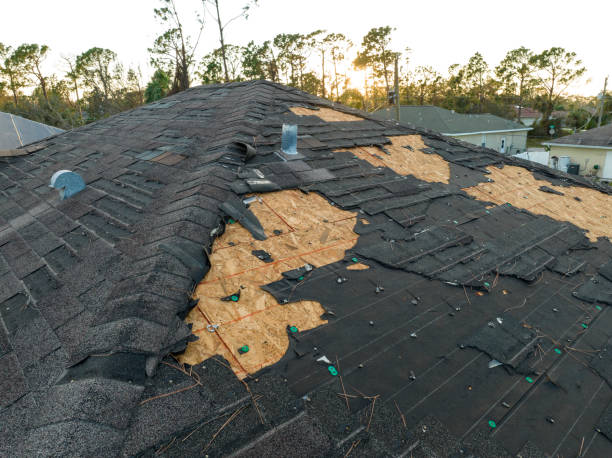 Best Skylight Installation and Repair  in Grambling, LA